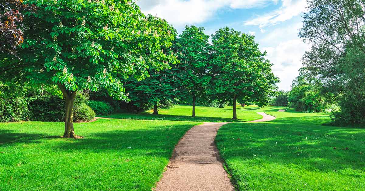 path to recovery